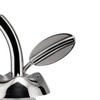 Alessi Fior D'Olio Olive Oil Pourer, Silver