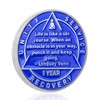 1 Year Sobriety Coin Sobriety AA Chips AA Coins, Recovery