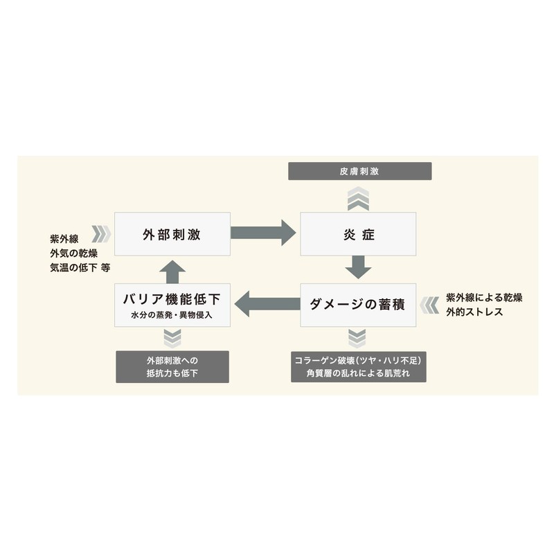 OSAJI Comfort Multi Cream Body Cream Emulsion Skin Care Body