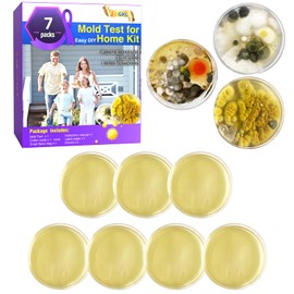 Mold Test for Home Kit,Home Mold Test,DIY Detector at Furniture,Wall Facing,Indoor Air Quality Testing Kits,Simple Detection Tests,air Tester,Black26 Mold Testing,Home Mold Testing,Include Guide