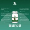 Alga Spirulina, 100 Cápsulas, Calidad Premium
