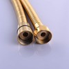 Ciencia Anti-Kink Flexible Shower Hose - Stainless Steel with Solid