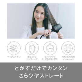 Panasonic EH-HS31-K Brush Iron, Straight Ionity, Negative Ion, For Overseas Use, Black