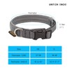 Excellent Elite Spanker Dog Collar for Small Dogs, Nylon, Super