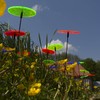 Sunplay Sun Catcher Discs in Colour Mix, Set of 10,