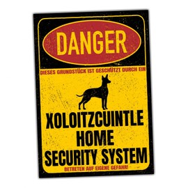 Xoloitzcuintle Xolo Sign Danger Security System Door Sign Dog Warning Sign Dog Caution
