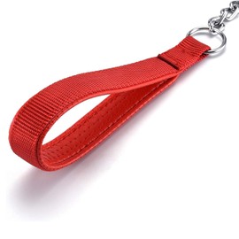 Petiry 6 Feet Chain Leash Chew Proof Metal Dog Leash with Soft Padded Handle.(6 Feet, Red)