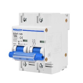 Mollom AC 2 Pole Miniature Circuit Breaker, 110V-240V 125Amps, Scene Visualization Custom MCB Thermal Magnetic Trip, 6KA Breaking Capacity for Solar AC System, Home Use, RVs