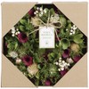 SG Wonder Zone 660-033 Wreath, 9.4 inches (24 cm), All