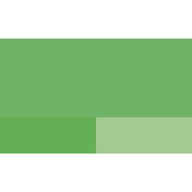 Lefranc Bourgeois 300380 Fine Acrylic Paint - Light Green, 200 ml Tube, Creamy Water-Based Acrylic Paint, Quick Drying, Lightfast, Waterproof