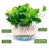 Dexceder 13.5 Inch Large Self Watering Hanging Planters Indoor Outdoor,