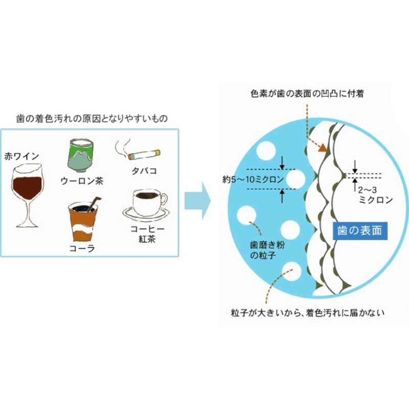 Clear Dent Tooth Peeling Sponge, Pack of 10