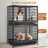 Oranland 48 inch Wire Dog Crate with Divider,2025 New Upgraded