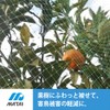 Nihon Matai Marsol Soft Butterfly Bird, 0.4 inch (10 mm)