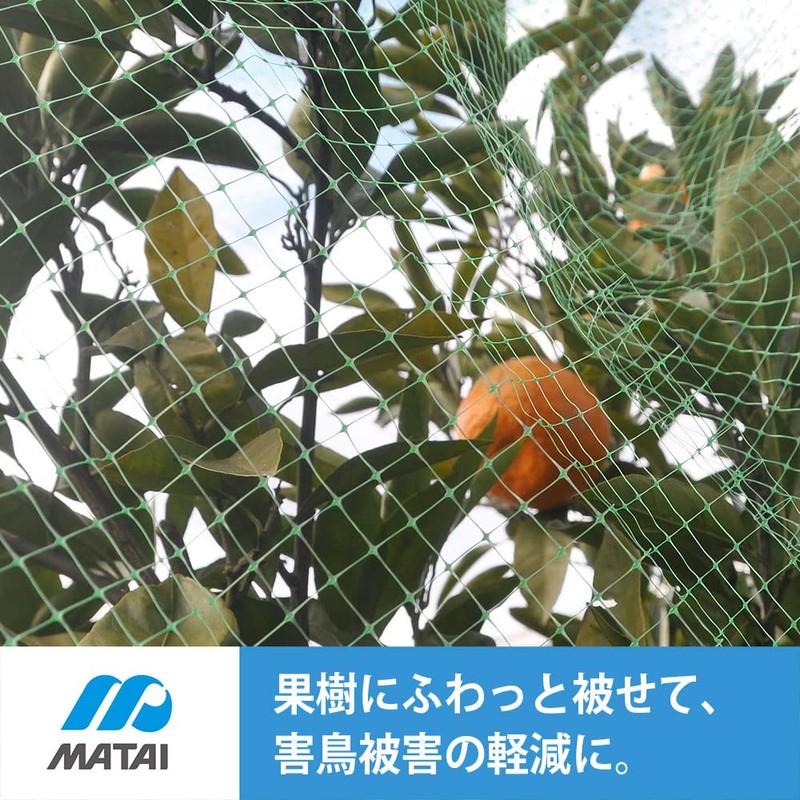 Nihon Matai Marsol Soft Butterfly Bird, 0.4 inch (10 mm)