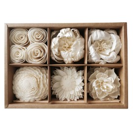 Reed Diffuser 6 Mix Sola Flower with Cotton Wick Box for Home Fragrance by Plawanature