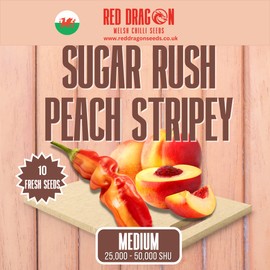 Sugar Rush Peach Stripey Chilli Seeds - Sugar Rush Peach Pepper Seeds