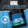 Animal Creatine Chews – Enhanced Creatine Monohydrate Chewable Tablets with
