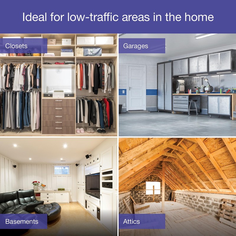 Lutron Maestro Countdown Timer Switch for Fans and Lights, Timer