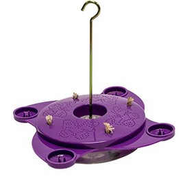 BRECK'S Purple Butterfly Feeder - Create a haven for butterflies in your backyard!