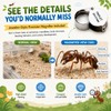 RIMSUNTA Terra Core Link - Expandable Ant Nest Formicarium with