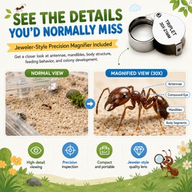 RIMSUNTA Terra Core Link - Expandable Ant Nest Formicarium with Activity Area, Modular Ant Farm Habitat for Horizontal Expansion, 3 Chamber Nest Modules