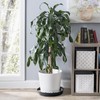 Austin Planter 18inch Saucer Black Polypropylene for Indoor and Outdoor