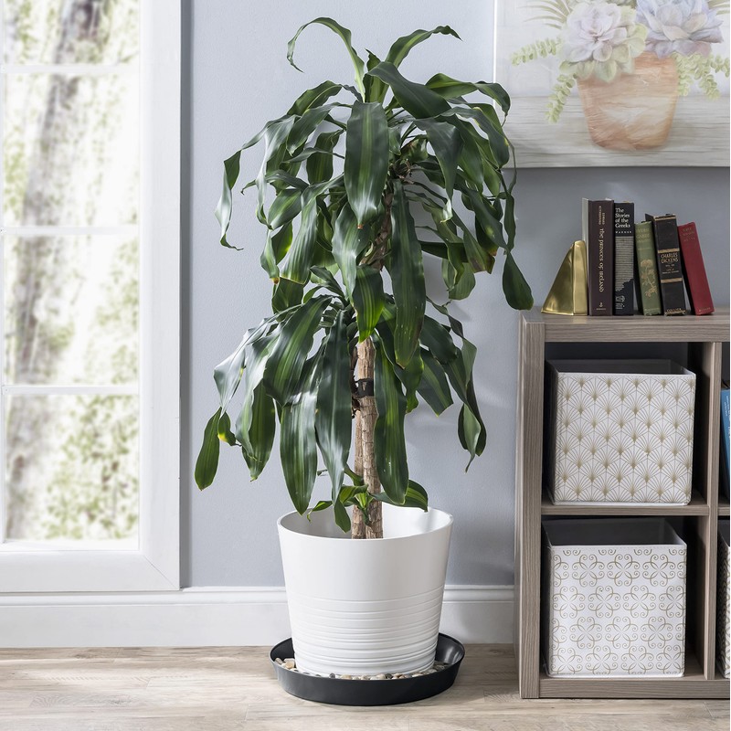 Austin Planter 18inch Saucer Black Polypropylene for Indoor and Outdoor