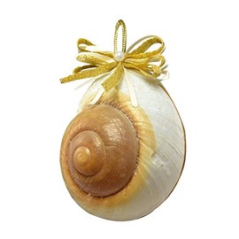 HS Seashells Gold Bow Mountain Land Snail Ornament, 3-3.5-inch, Each