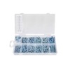 Blue Spot Tools 40574 550Pce Self Screw Assortment, Silver