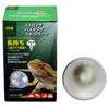 Zensui Strong Basking Spot Lamp 40W