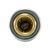 Foster 3 Series - Coupler, 1/4" Body, 1/4" NPT -