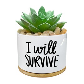 WHING I Will Survive - Funny White Ceramic Engraved Mini Succulent Cactus Planter Pot, 1 Pack 3.5 inch Succulent Indoor Flower Plant Pots with Bamboo Tray for Home Office Windowsill Gifts