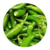Semillas de Chile Serrano El Trébol para Huerto y Jardín