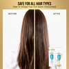PANTENE PRO-V Classic Clean Shampoo, 12.0oz/355mL