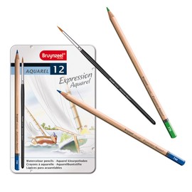 Bruynzeel - 12 coloured pencils in a metal case