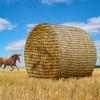 LalaKoo Large Round Bale Hay Net for Horses 6×6 ft
