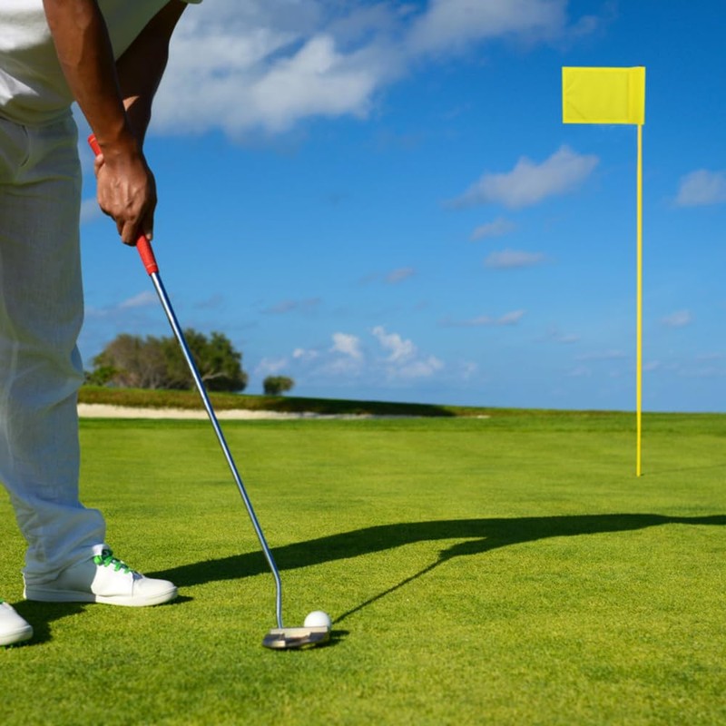 6PCS Golf Flags,400D Nylon Waterproof Golf Pin Flags For Indoor