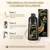 Black Hair Dye Shampoo 3 in 1, Shampoo para Canas