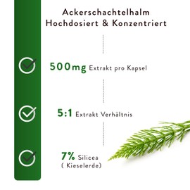 Vitalplant® Field Horsetail Extract 500 mg in Amber Glass - 120 Capsules High Dose Horsetail Extract (5:1) with Organic Silicon - Vegan