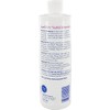 No Rinse Shampoo - 8 oz Bottles - Case of