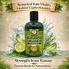 HIGH SUPREME Shampoo organic bergamot (16.9 fl oz) with aloe