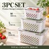 Produce Storage Containers for Fridge with Removable Colanders & Locking