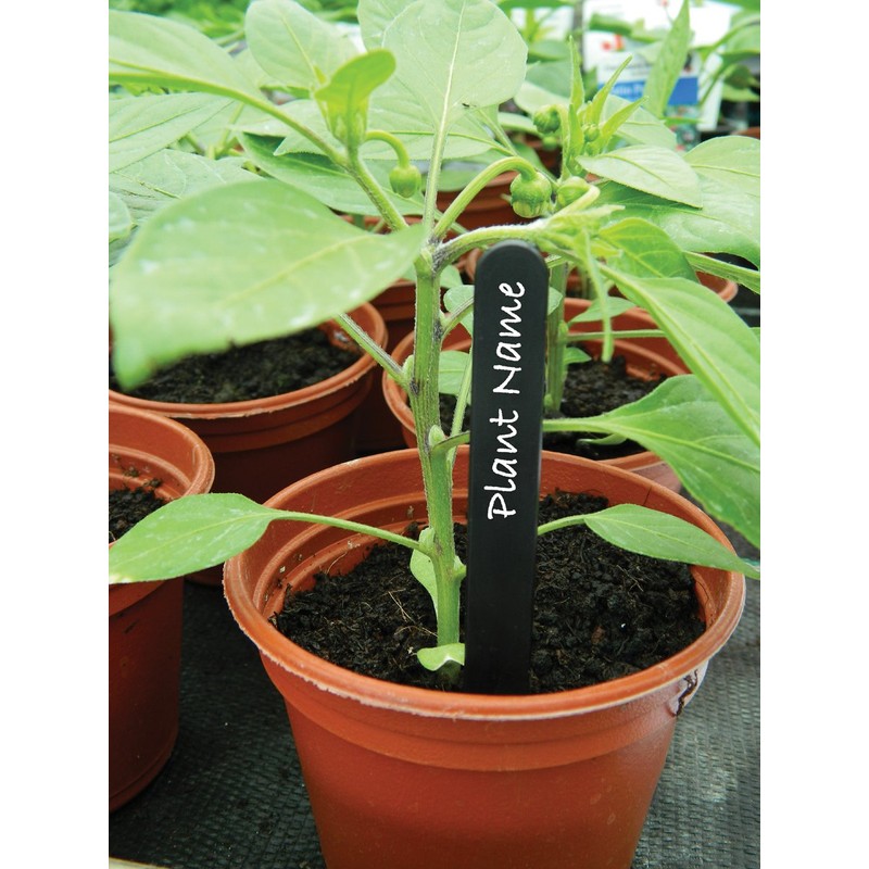 W0875 Garland 10cm (4") Plant Labels (50) (Black)