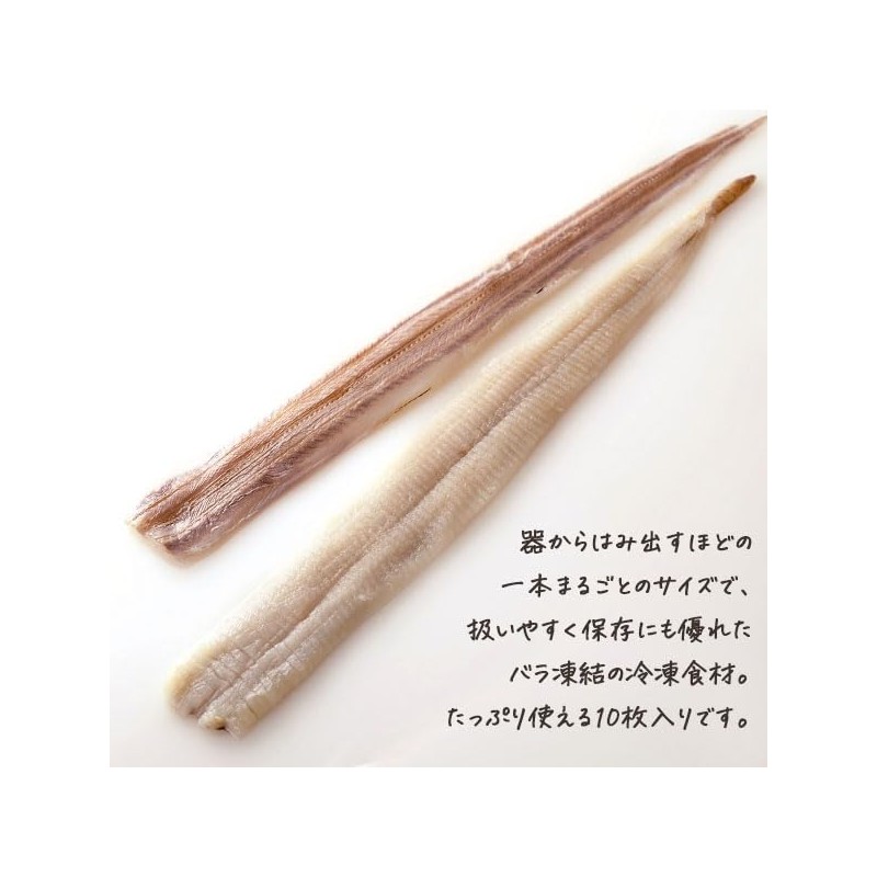 Conger Eel Fillet Approx. 1.8 - 2.1 oz (50 -