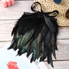 Holmgren Black Rooster Feather Trim for Costume Decoration 2 Yards