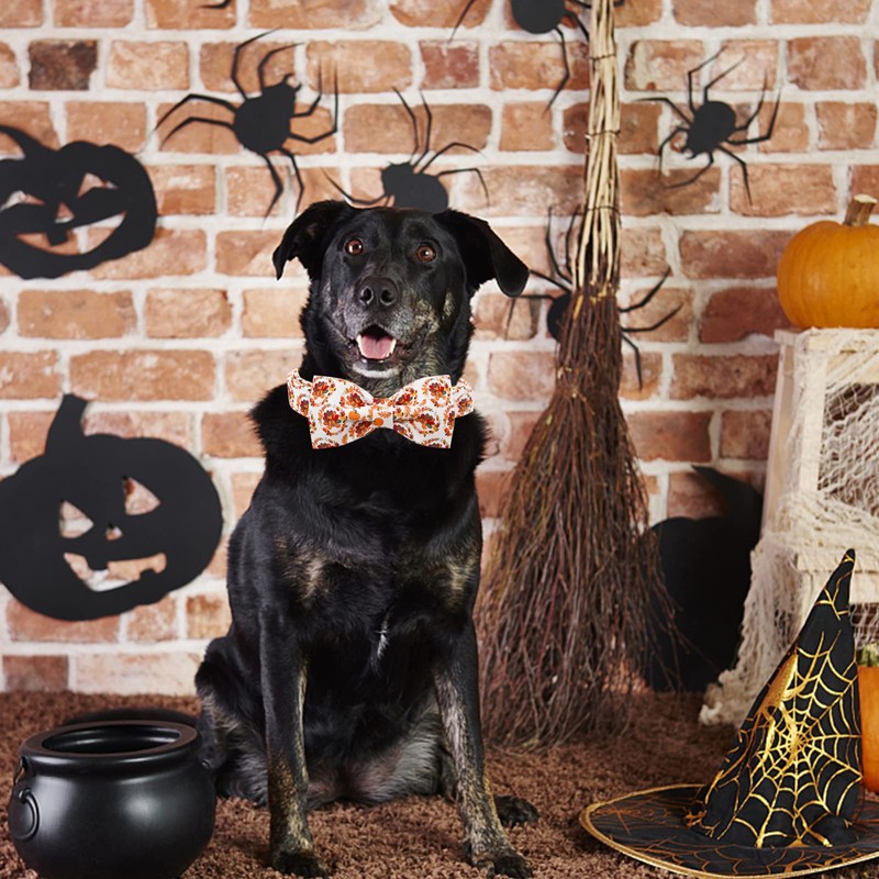 Bobo Rainbow Dog Collar - Thanksgiving Turkey Bowtie Dog Collar