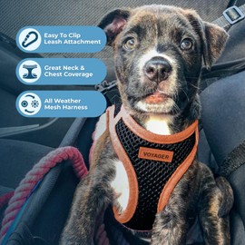 Voyager Step-in Air Dog Harness - All Weather Mesh Step in Vest Harness for Small and Medium Dogs by Best Pet Supplies - Orange Trim, Medium