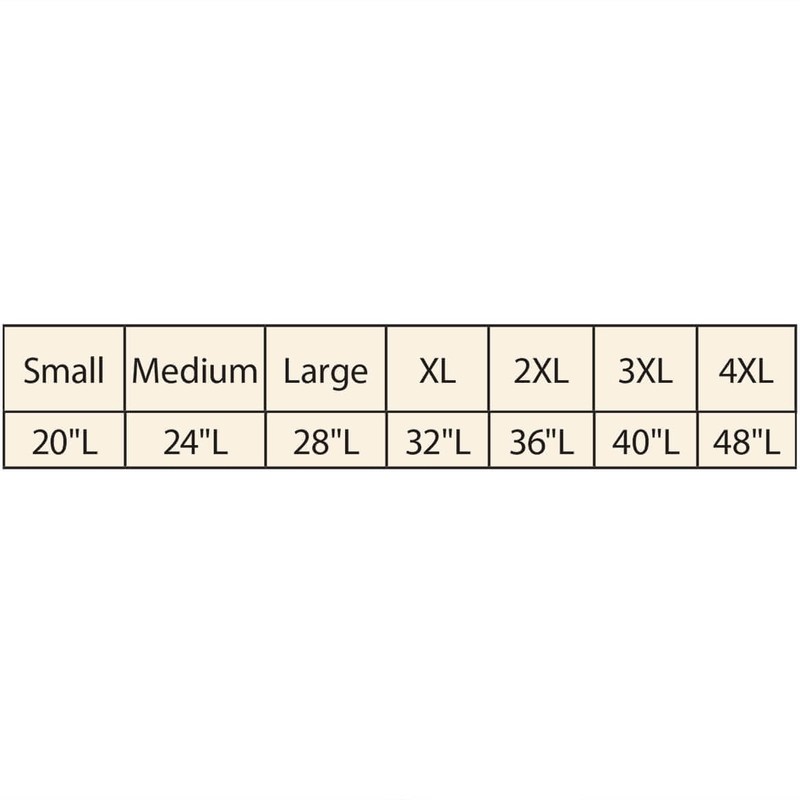 WalterDrake Tummy Liners Set of 3