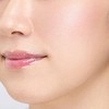 Paul & Joe Beaute PAUL & JOE BEAUTE/PRESTO BLUSH/REFILL/01 SCRADOR